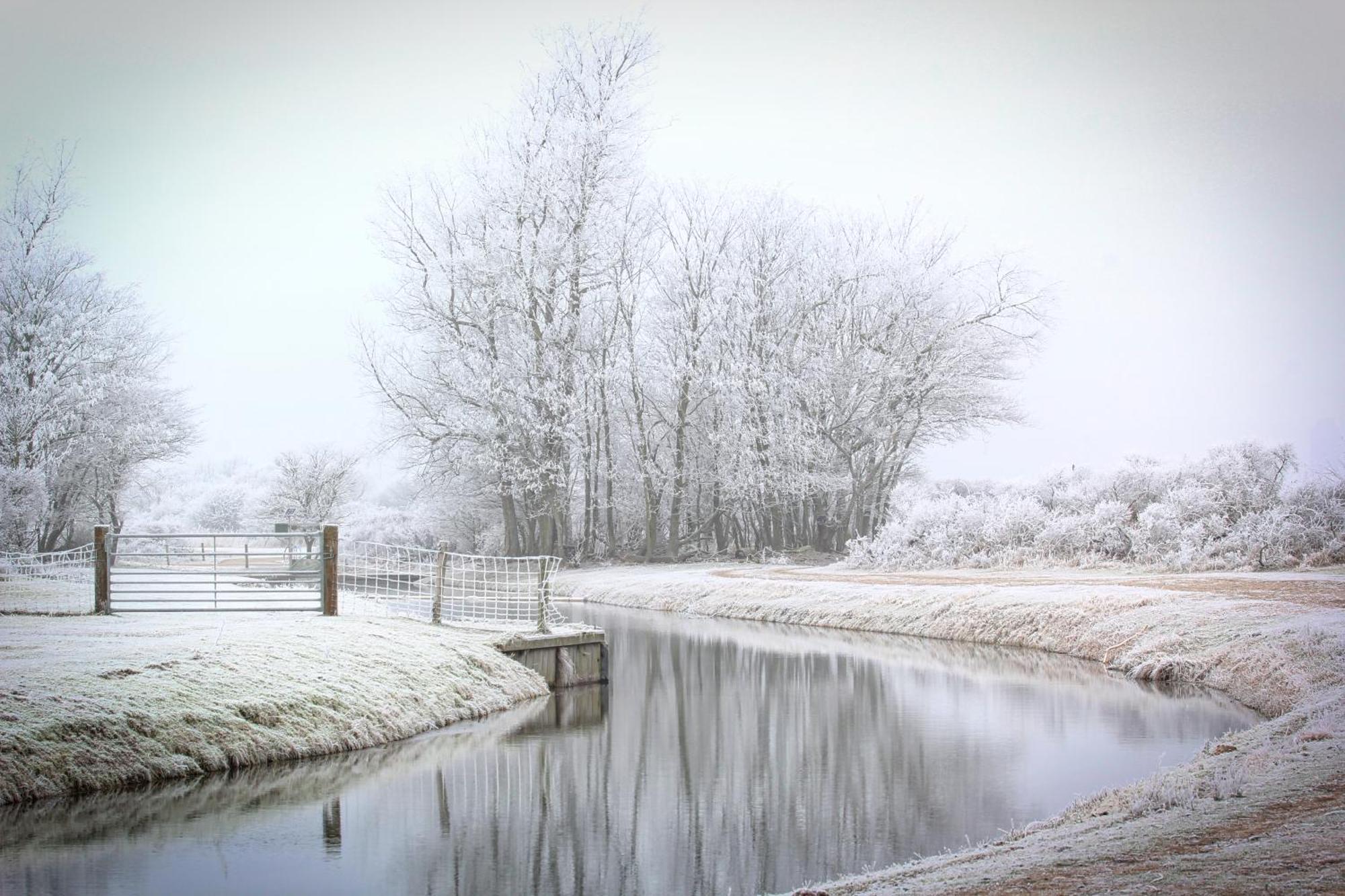 Duin-Vliet Bed and Breakfast Bentveld Buitenkant foto